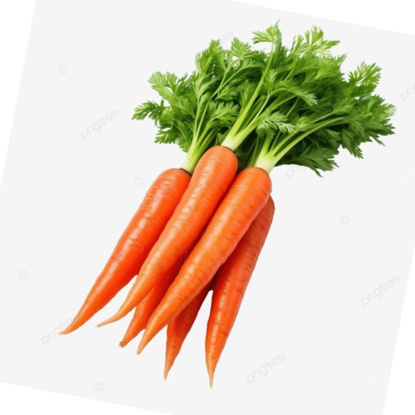 Carrot